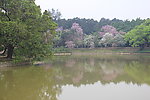 公园一角