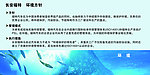 福特企业文化