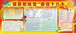 十八大板报