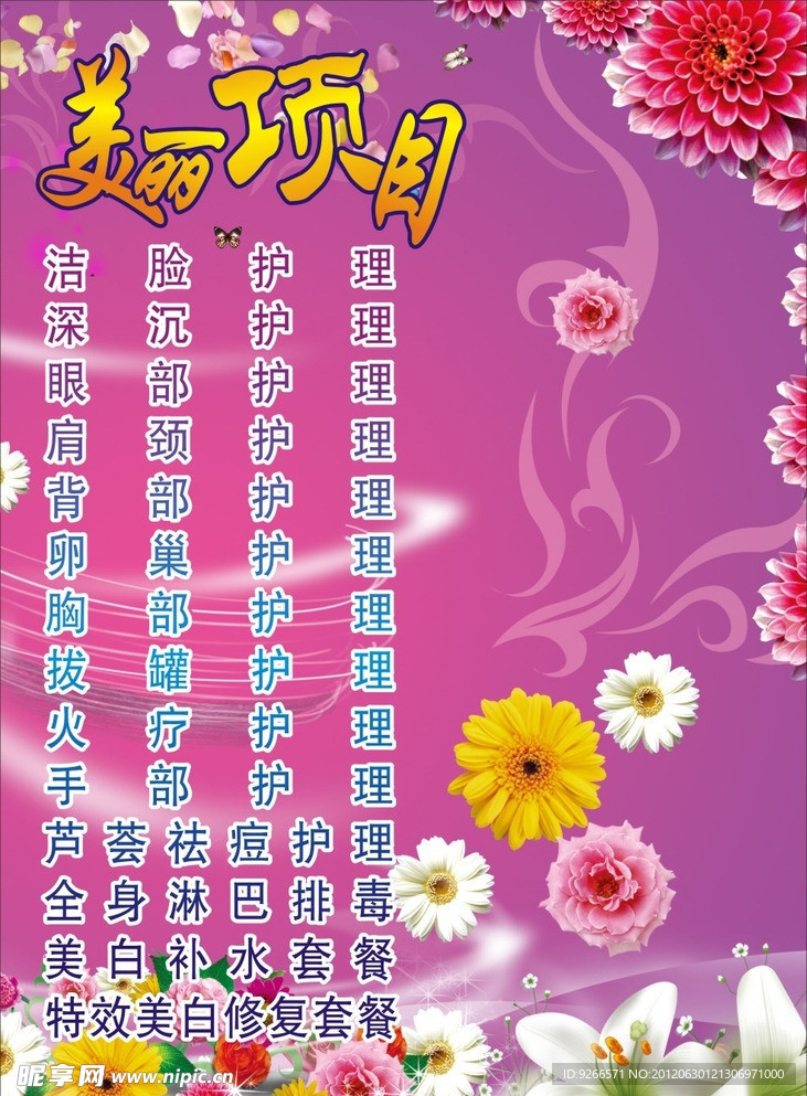 美丽项目