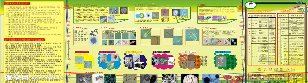 化验室宣传栏