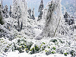 冰天雪地