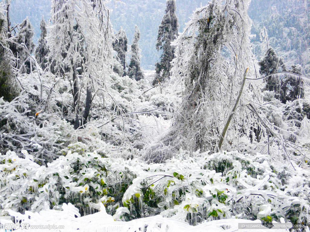 冰天雪地