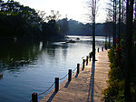春光明媚仙湖园