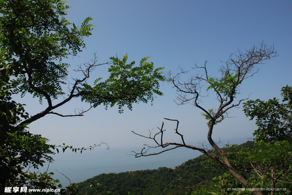 大连 燕窝岭 海滨