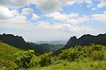 高山草甸