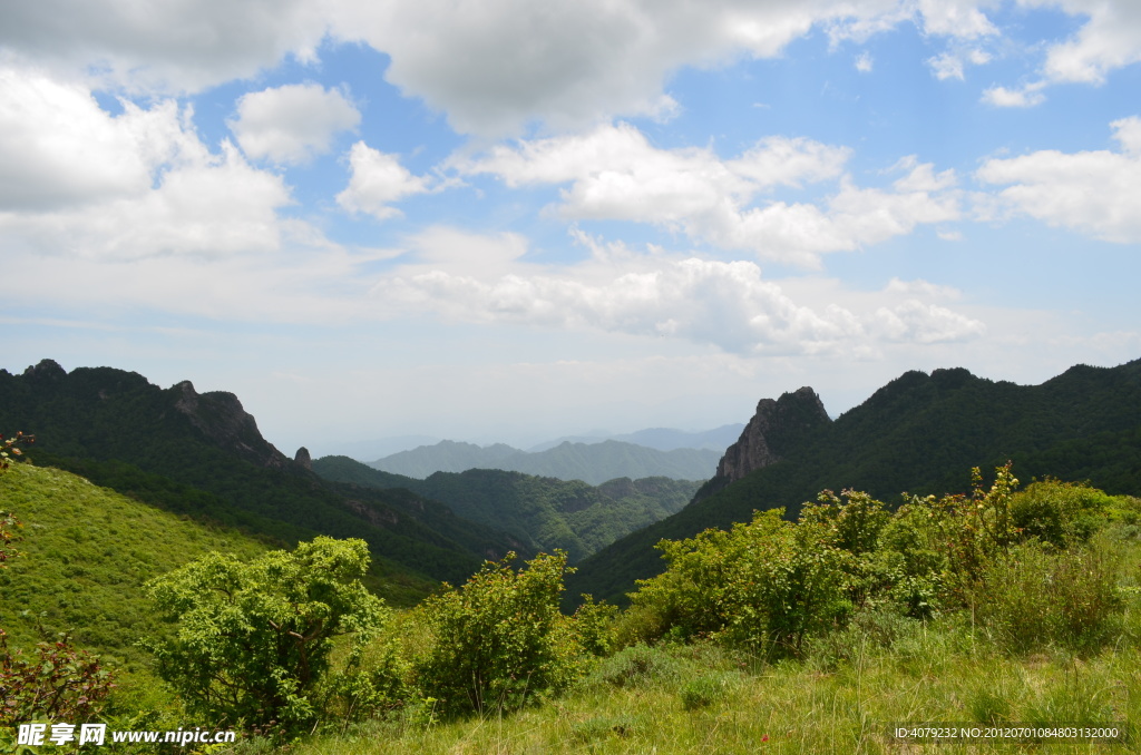 高山草甸