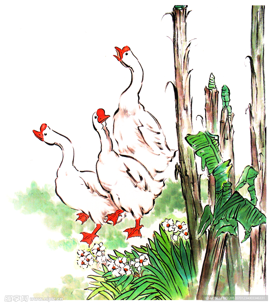鹅鹅