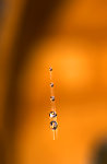 水滴水珠