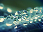 水珠