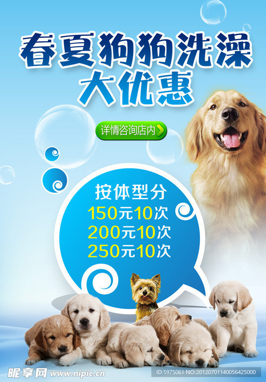 狗狗海报
