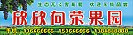 欣欣向荣果园