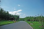 北京奥林匹克公园林间小道