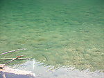 池水
