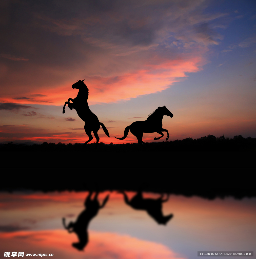 夕阳下的跑马