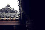 陈家大屋