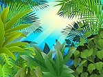 夏日绿叶背景