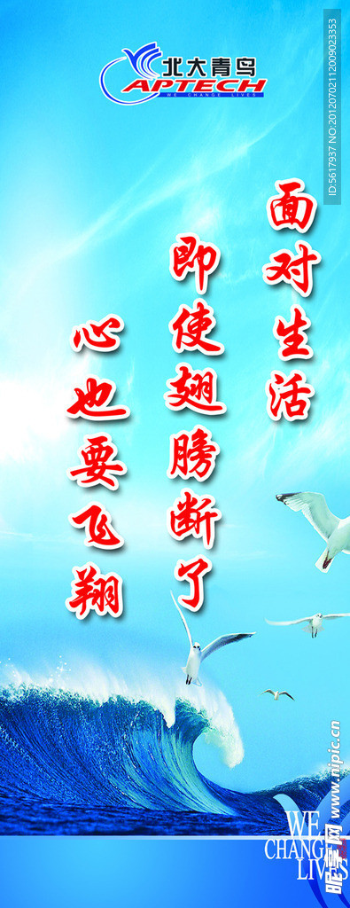 北大青鸟