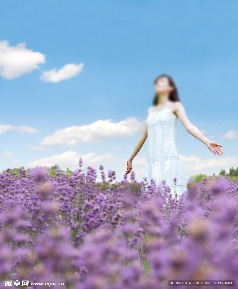 薰衣草美女