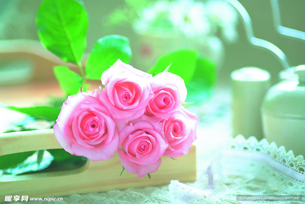 玫瑰花