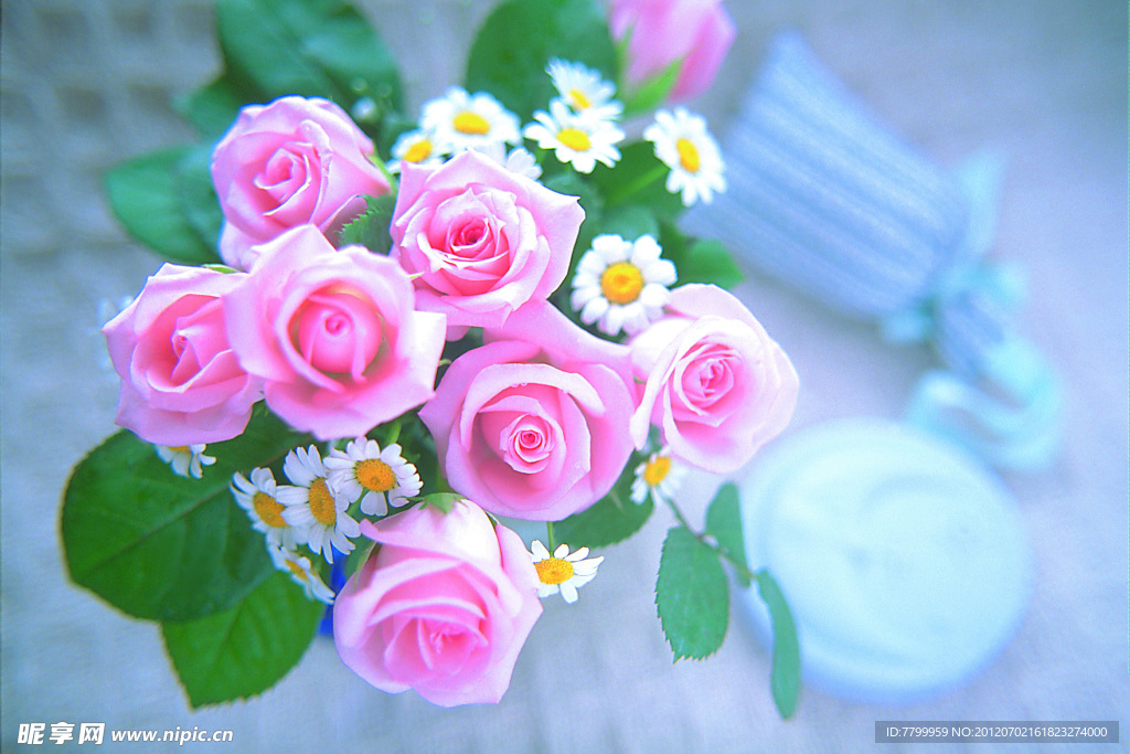 玫瑰花