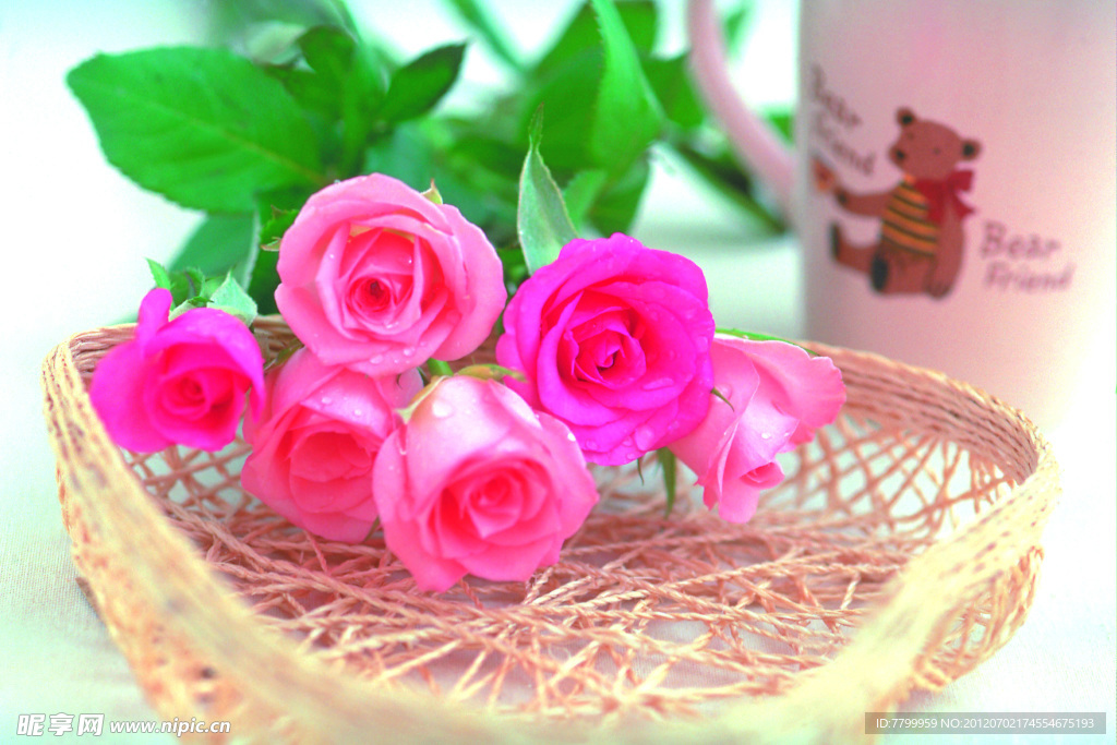 玫瑰花