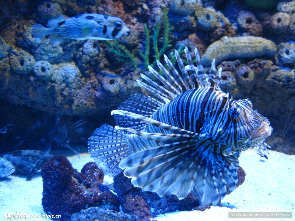 海底世界