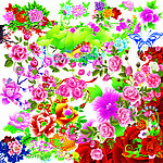 花卉大全