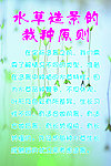 可爱水草栽种介绍