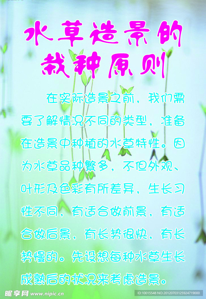 可爱水草栽种介绍