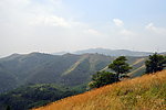 张家山