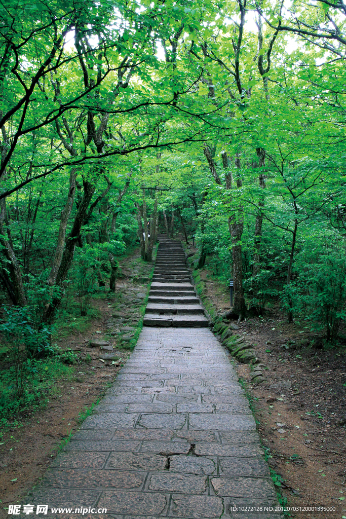 黄山风景