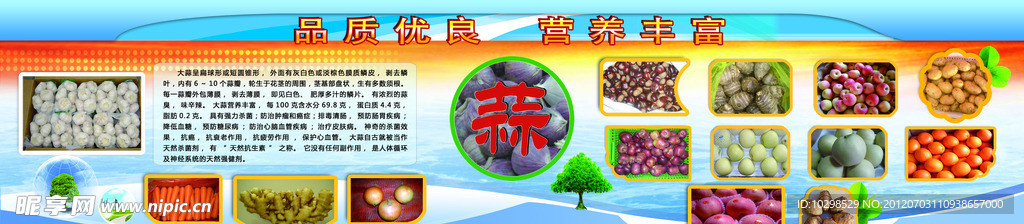 大蒜展览