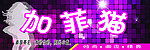 服饰 加菲猫
