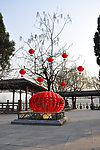 小树节日