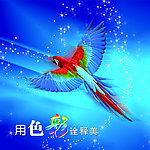 油笔画鸟