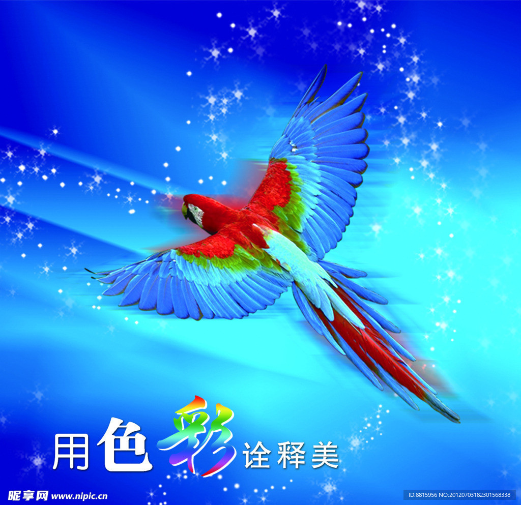 油笔画鸟