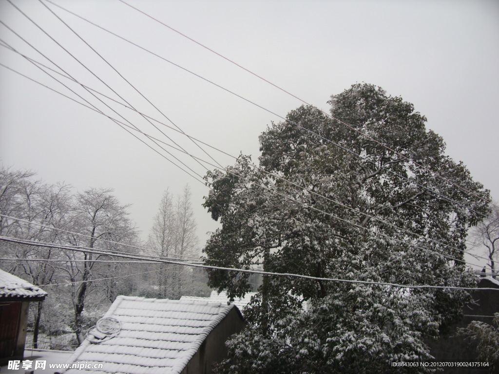 2010年家乡雪景