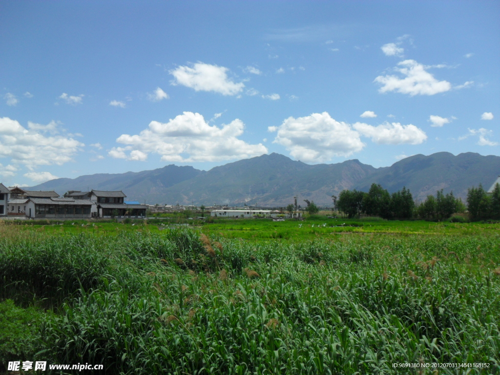 云南古镇野外风景