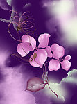 花卉