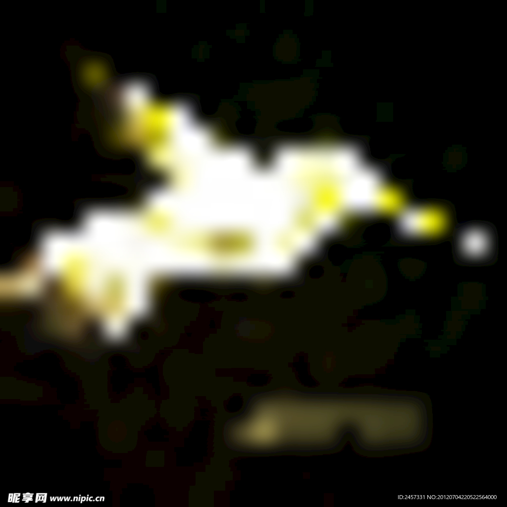 光线小鸟