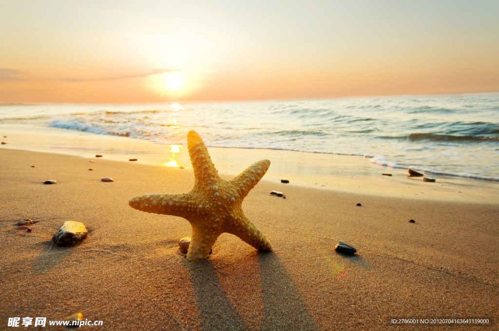 夕阳沙滩海星