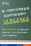 中考信息查询