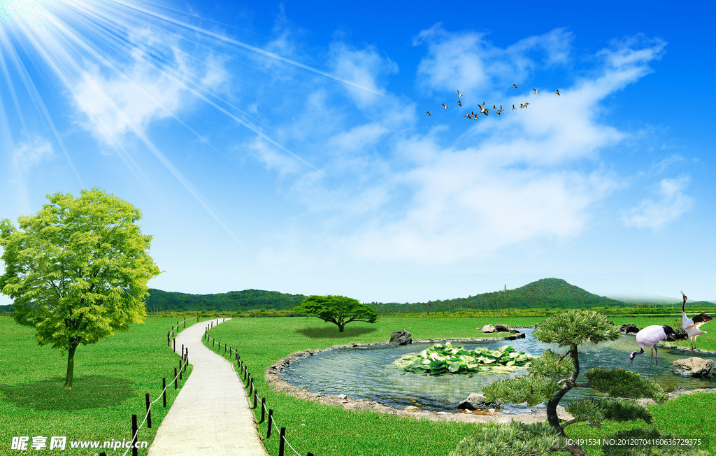 公园池塘