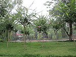 公园