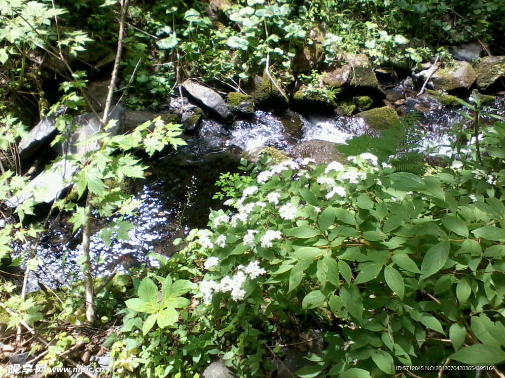 山泉流水