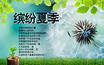 缤纷夏季