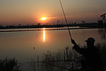 夕阳剪影