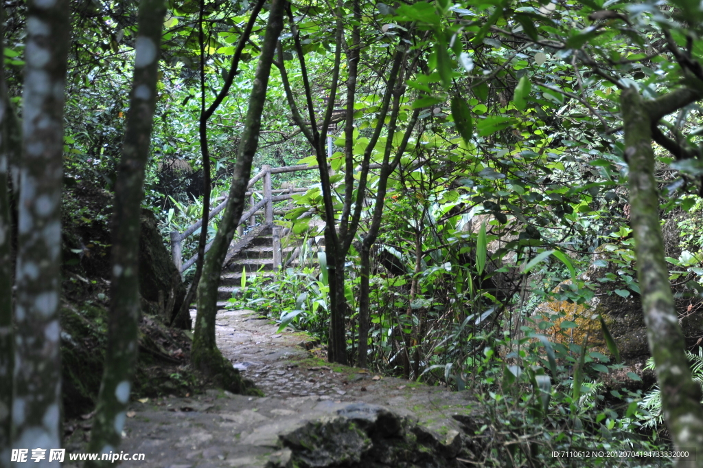 林间小道