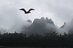 桂林山水
